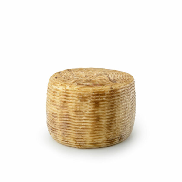 Pecorino il Montanaro - immagine 3